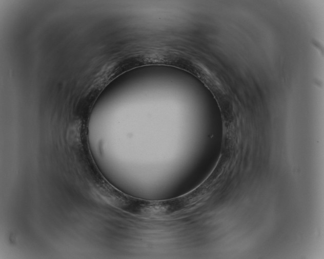 X0000091300217200708241058