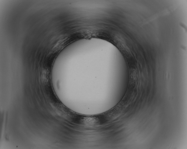 X0000091300218200708241058