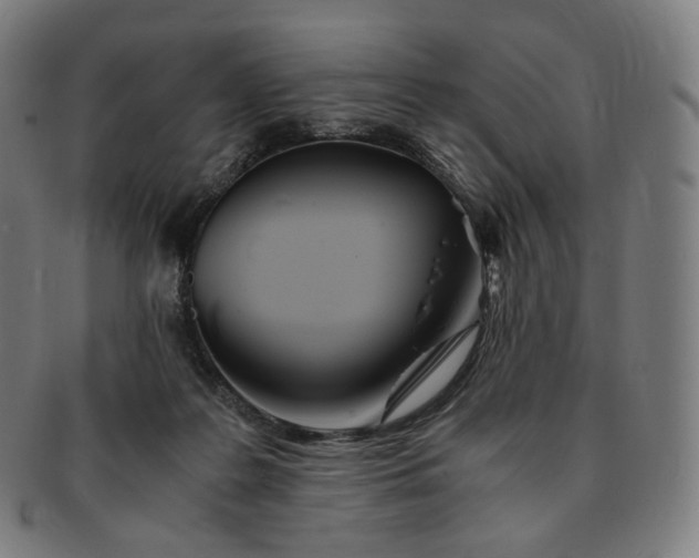 X0000091300219200708241058