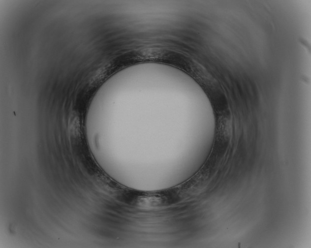 X0000091300220200708241058