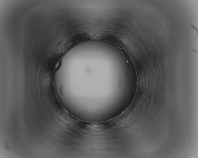 X0000091300221200708241058