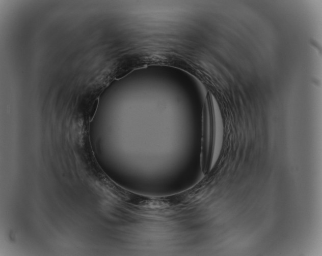 X0000091300223200708241058