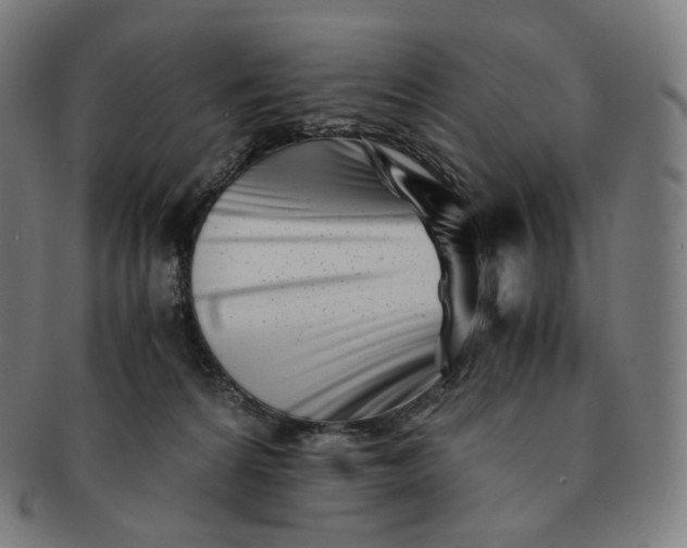 X0000091300224200708241058