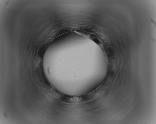 X0000091300225200708241058