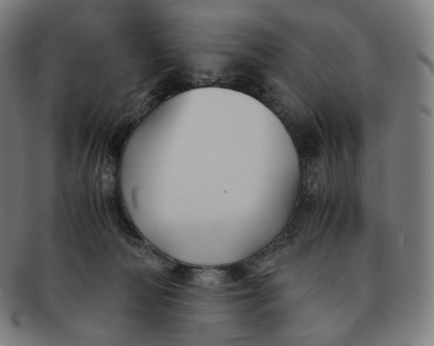 X0000091300226200708241058