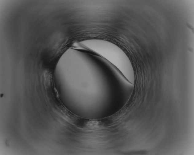 X0000091300227200708241058