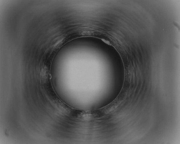 X0000091300228200708241058