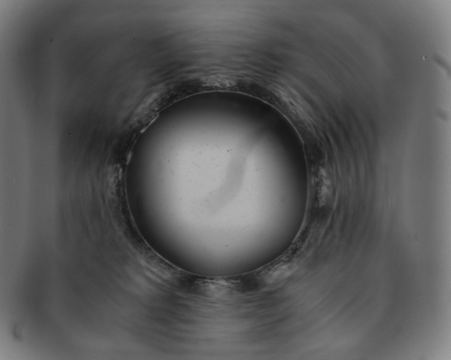 X0000091300229200708241058