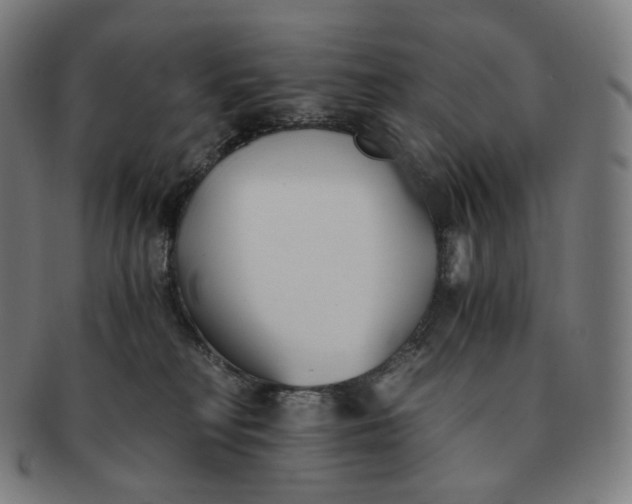 X0000091300230200708241058