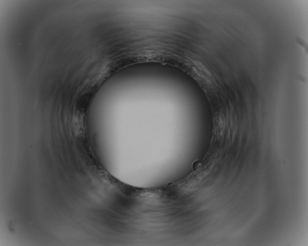 X0000091300236200708241058