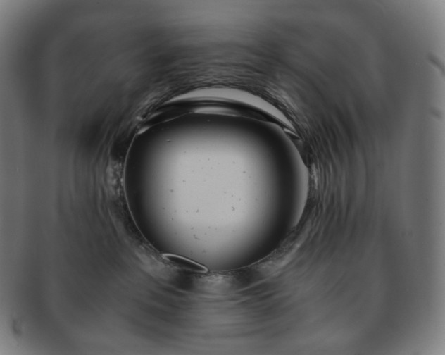 X0000091300237200708241058