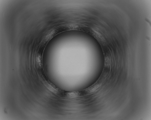 X0000091300238200708241058