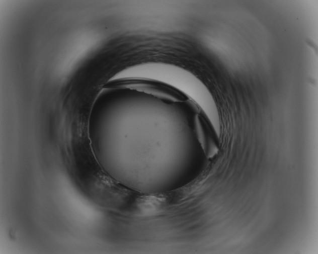 X0000091300239200708241058