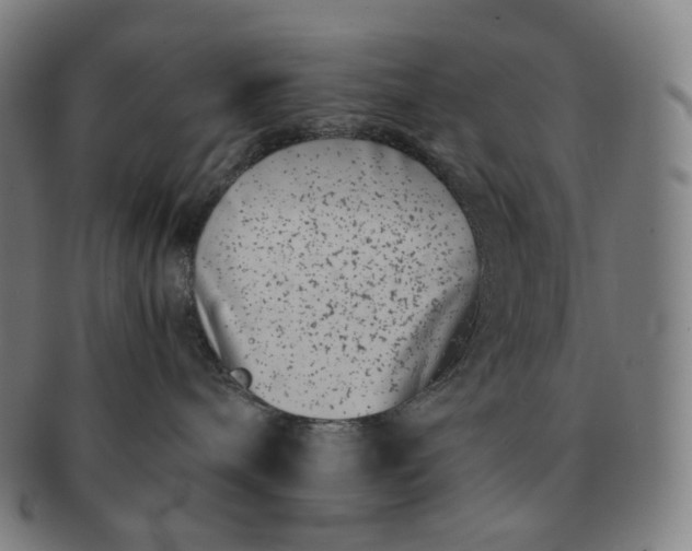 X0000091300240200708241058