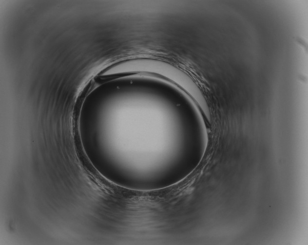 X0000091300244200708241057