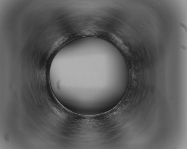 X0000091300250200708241057