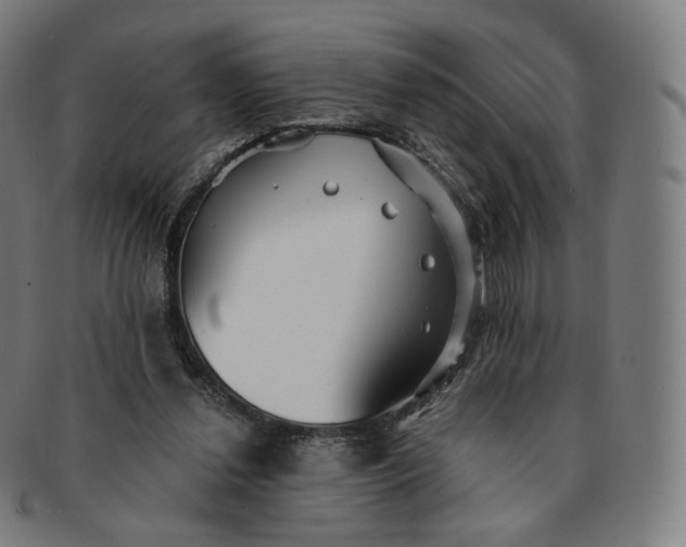 X0000091300252200708241057