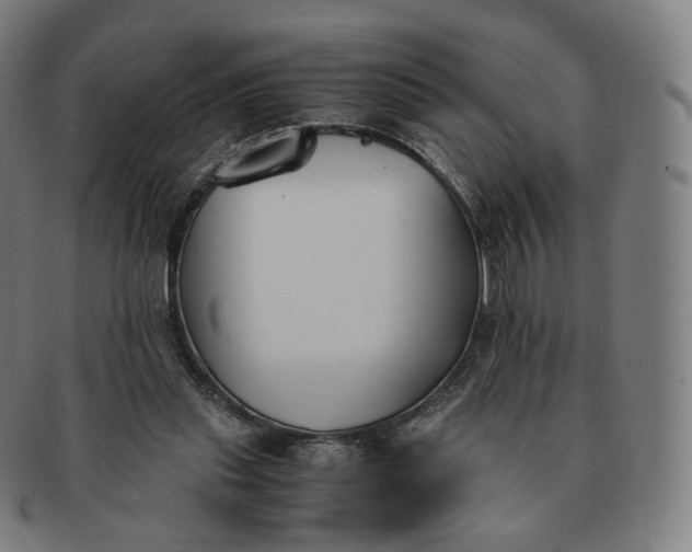 X0000091300253200708241057