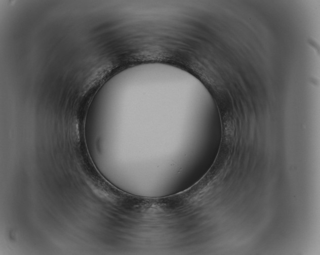 X0000091300254200708241057