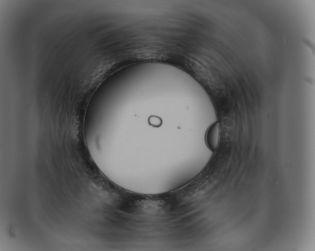 X0000091300255200708241057