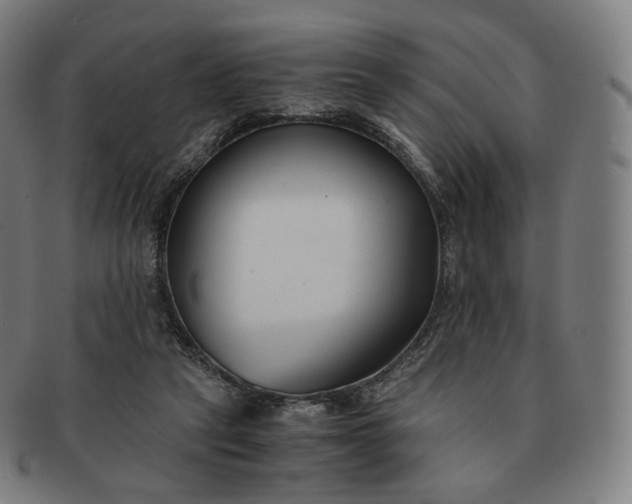 X0000091300257200708241057