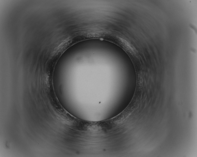 X0000091300258200708241057