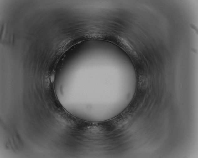 X0000091300259200708241058