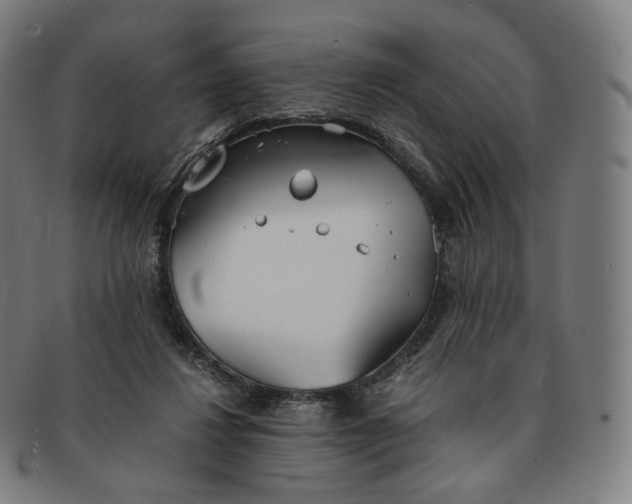 X0000091300260200708241058