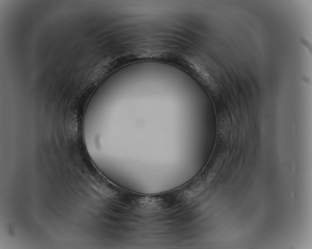 X0000091300261200708241058