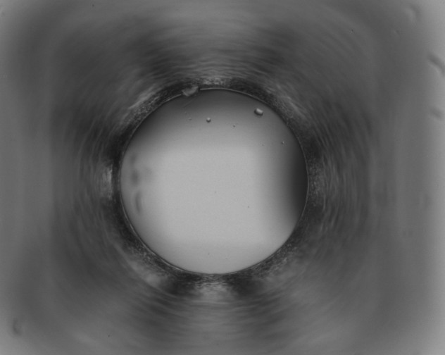 X0000091300262200708241058