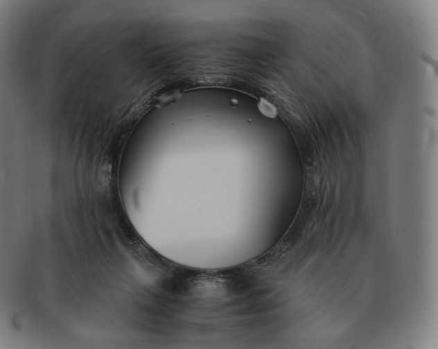 X0000091300263200708241058