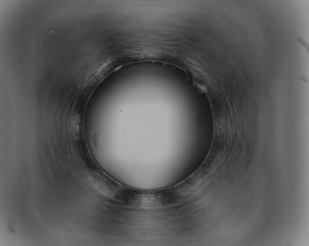 X0000091300264200708241058