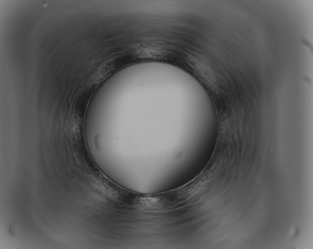 X0000091300265200708241058