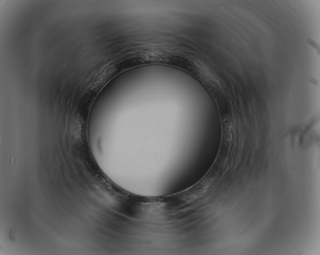 X0000091300266200708241058