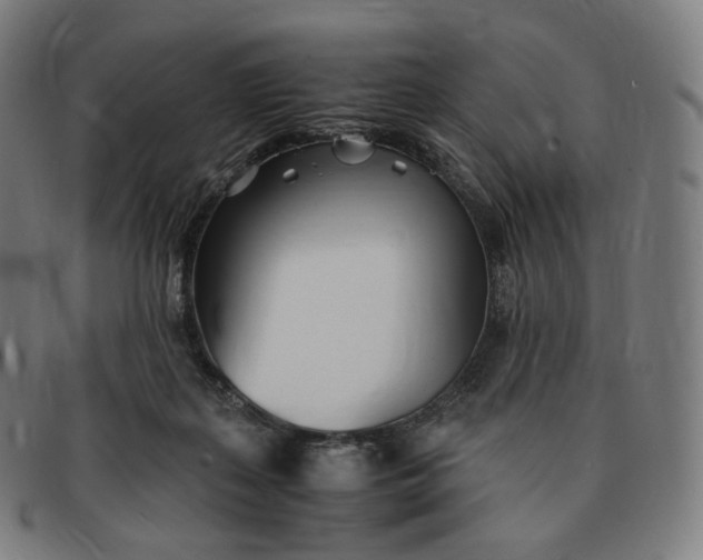 X0000091300267200708241058