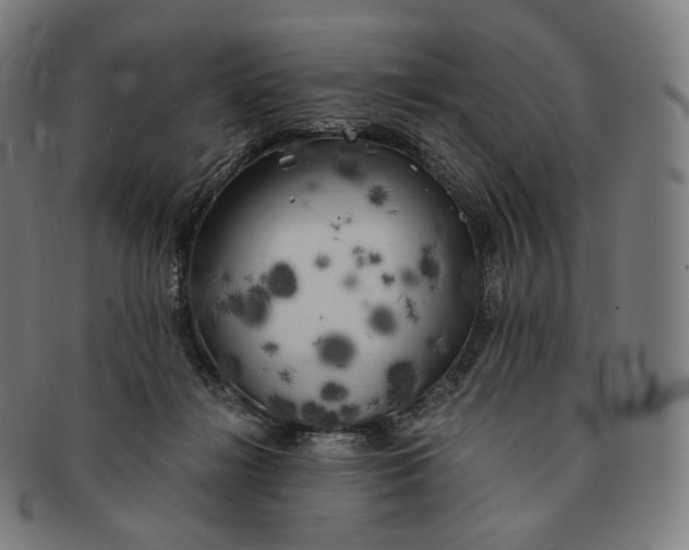 X0000091300268200708241058