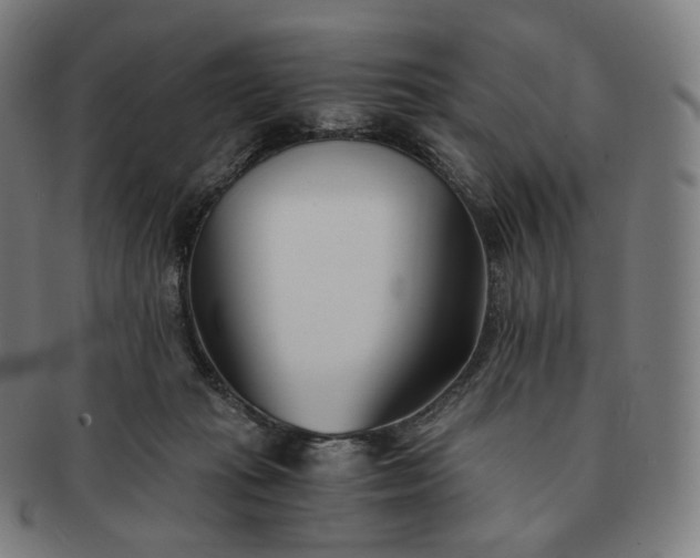 X0000091300269200708241058