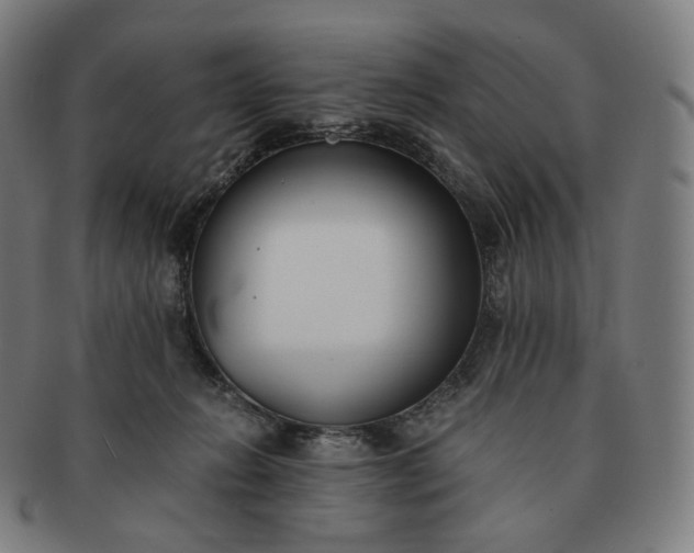 X0000091300270200708241058