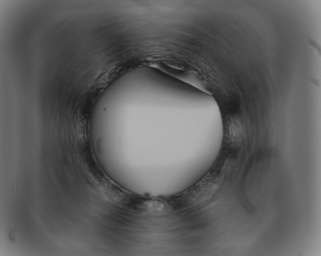 X0000091300272200708241058