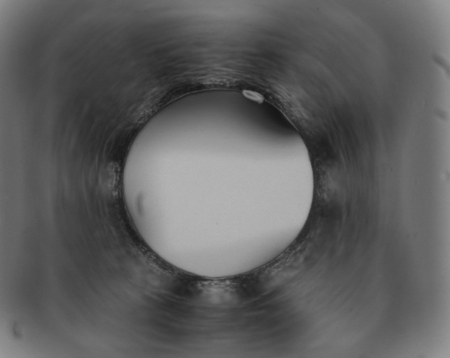 X0000091300273200708241058