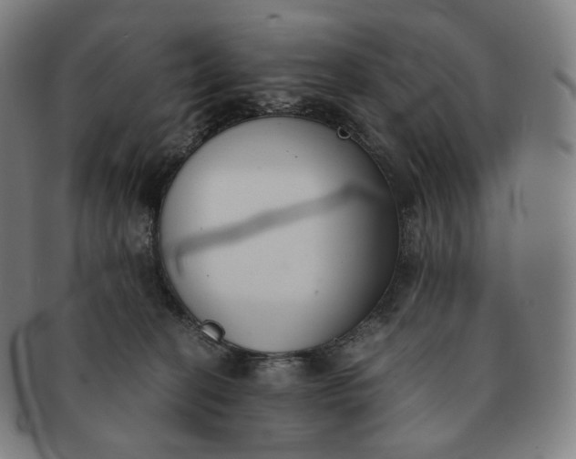 X0000091300274200708241058