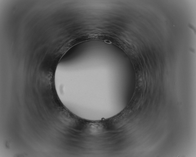 X0000091300275200708241058