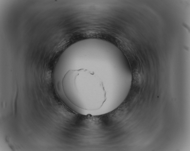 X0000091300278200708241058