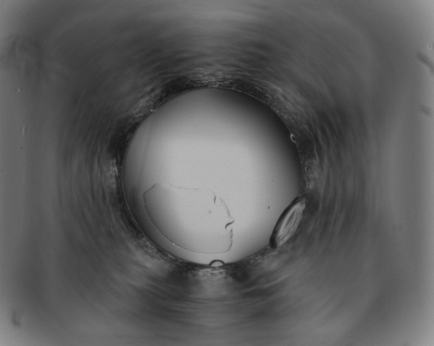 X0000091300279200708241058