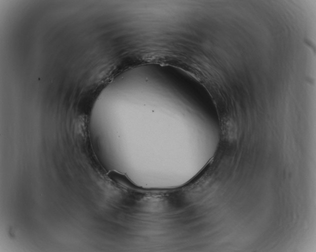 X0000091300280200708241058