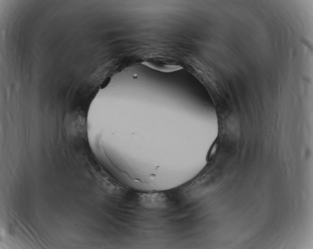 X0000091300281200708241058