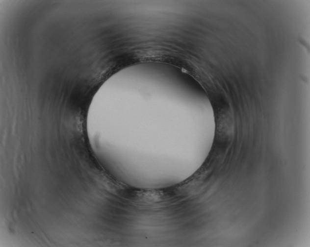 X0000091300282200708241058