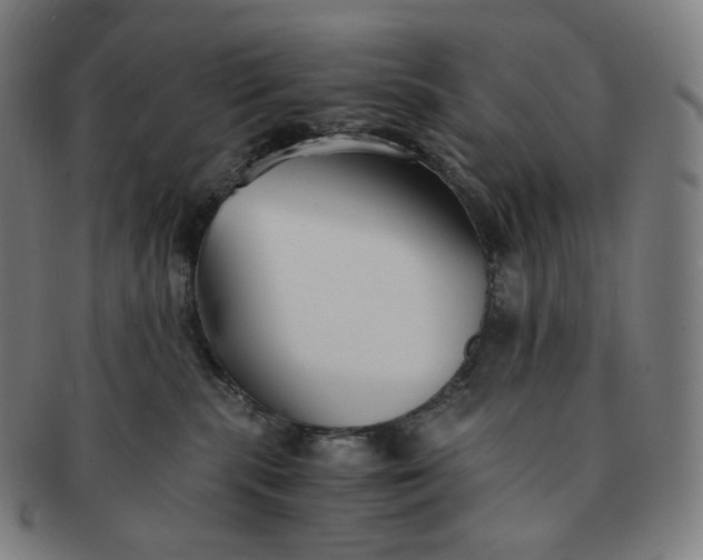 X0000091300283200708241058