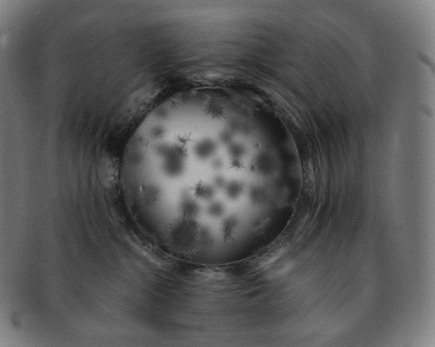 X0000091300284200708241058