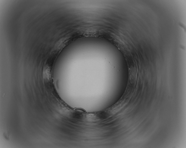 X0000091300287200708241058